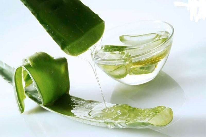 Nha đam chứa hàm lượng nước cao và các vitamin nhóm B, giúp làm dịu da cháy nắng