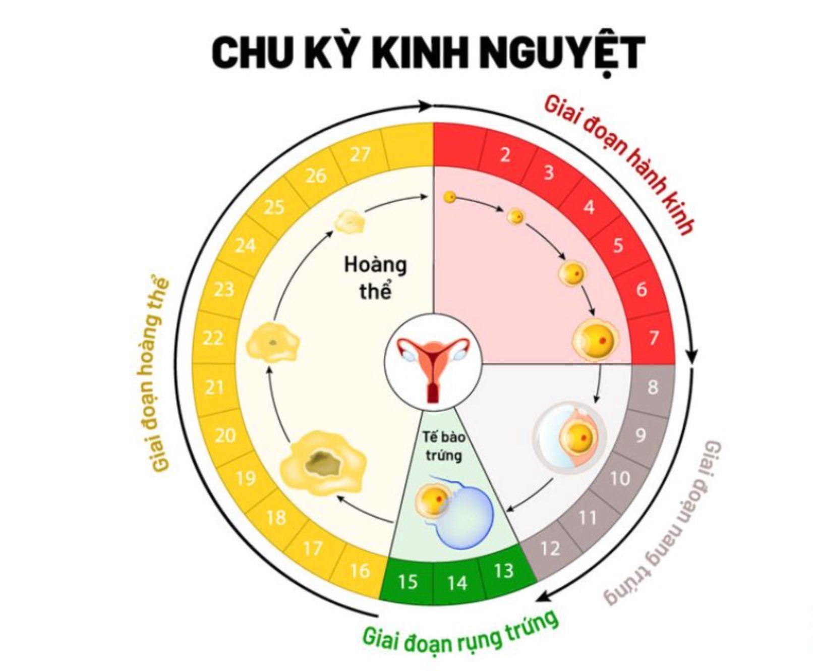 Cách chăm sóc da theo chu kì